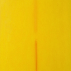 Intorno al giallo