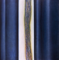 2015-cm200x190_MG_4792