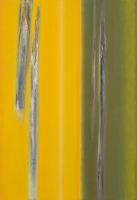 CONTINUUM LA MIA OMBRA 2011