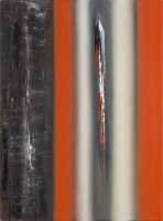 CONTINUUM LA MIA OMBRA 2011
