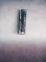 CONTINUUM LA MIA OMBRA 2011