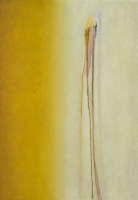 CONTINUUM LA MIA OMBRA 2012