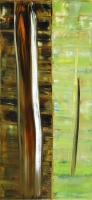 CONTINUUM LA MIA OMBRA 2010