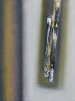 CONTINUUM LA MIA OMBRA 2012